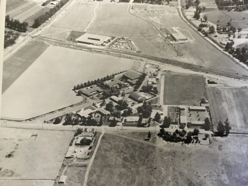 1956