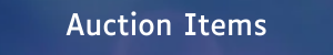 Auction Items